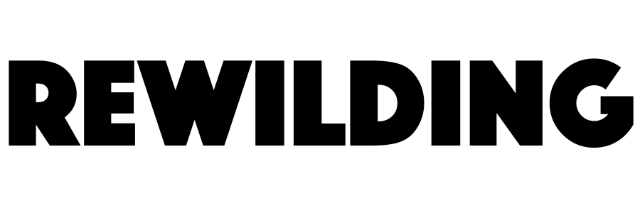 Site Logo Link Share Image 2