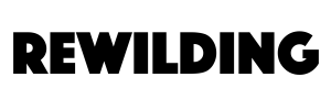 Logo Rw Only (300 X 100 Px)